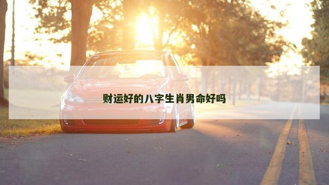 财运好的八字生肖男命好吗