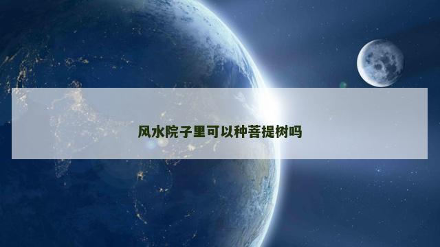 风水院子里可以种菩提树吗