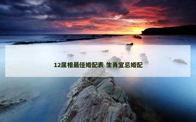 12属相最佳婚配表 生肖宜忌婚配