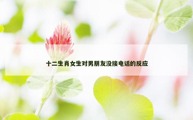 十二生肖女生对男朋友没接电话的反应