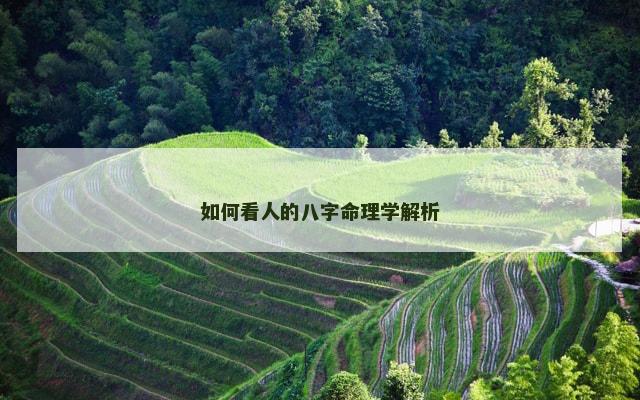 如何看人的八字命理学解析