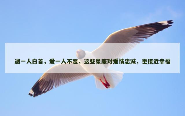 遇一人白首，爱一人不变，这些星座对爱情忠诚，更接近幸福