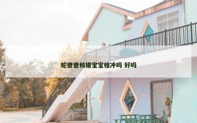 蛇爸爸和猪宝宝相冲吗 好吗