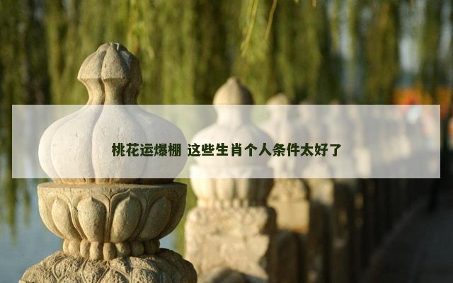 桃花运爆棚 这些生肖个人条件太好了