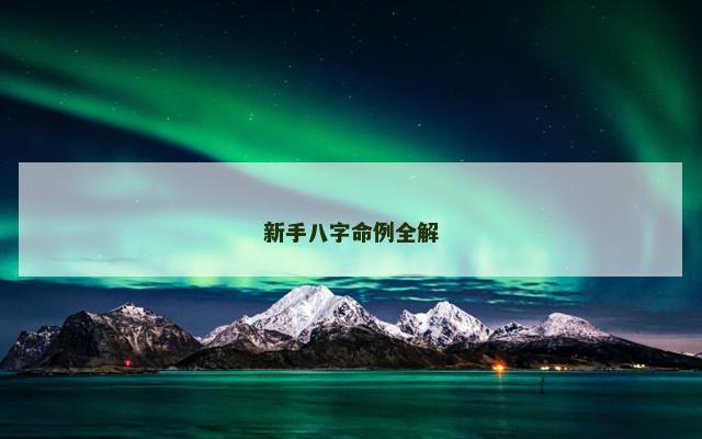 新手八字命例全解