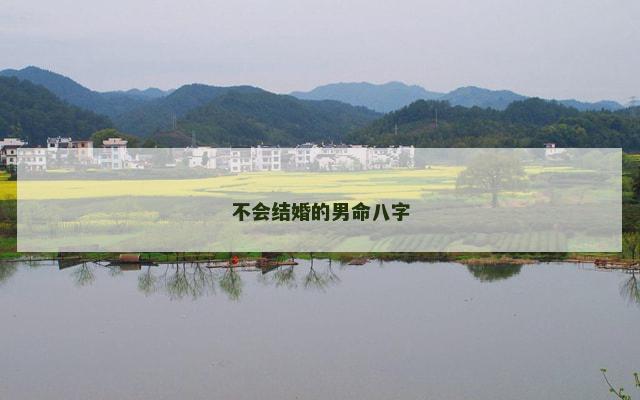 不会结婚的男命八字