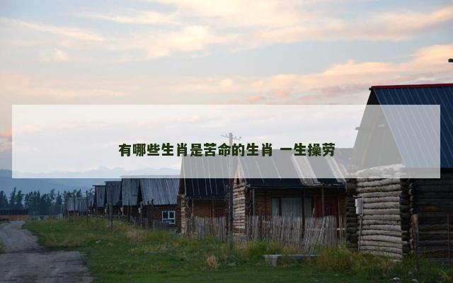有哪些生肖是苦命的生肖 一生操劳