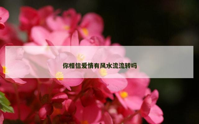 你相信爱情有风水流流转吗