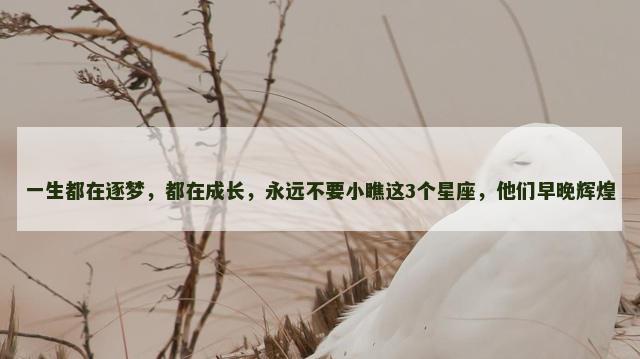 一生都在逐梦，都在成长，永远不要小瞧这3个星座，他们早晚辉煌
