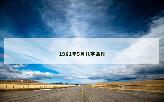 1961年5月八字命理