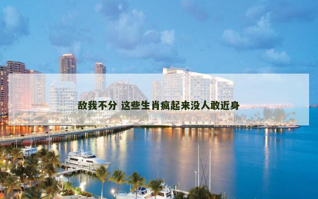 敌我不分 这些生肖疯起来没人敢近身