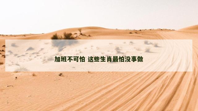 加班不可怕 这些生肖最怕没事做