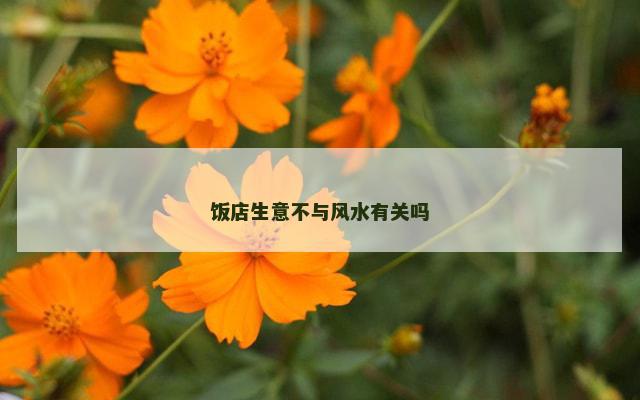 饭店生意不与风水有关吗
