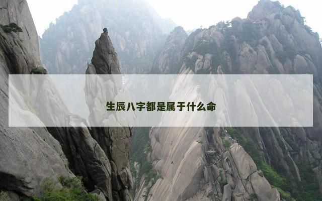 生辰八字都是属于什么命