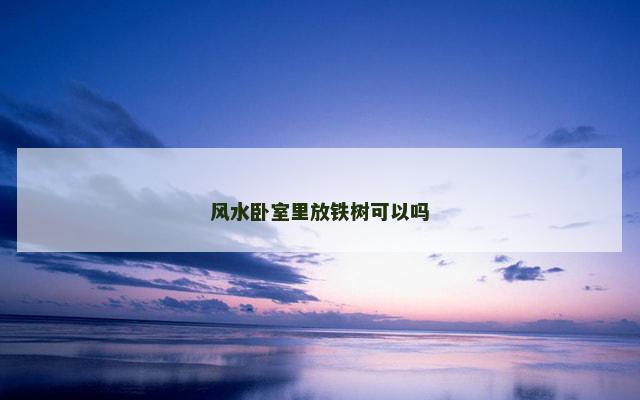 风水卧室里放铁树可以吗