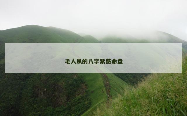 毛人凤的八字紫薇命盘