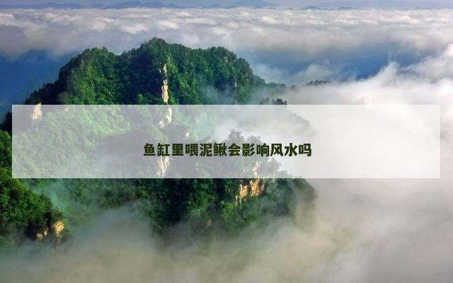 鱼缸里喂泥鳅会影响风水吗