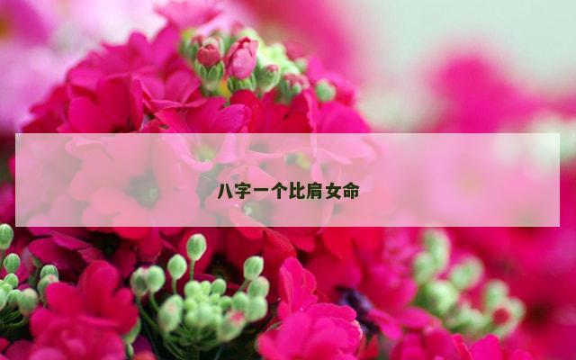 八字一个比肩女命