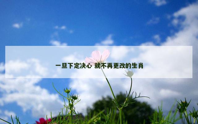一旦下定决心 就不再更改的生肖