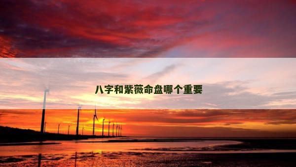 八字和紫薇命盘哪个重要