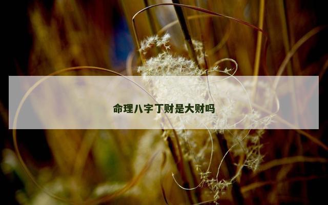 命理八字丁财是大财吗