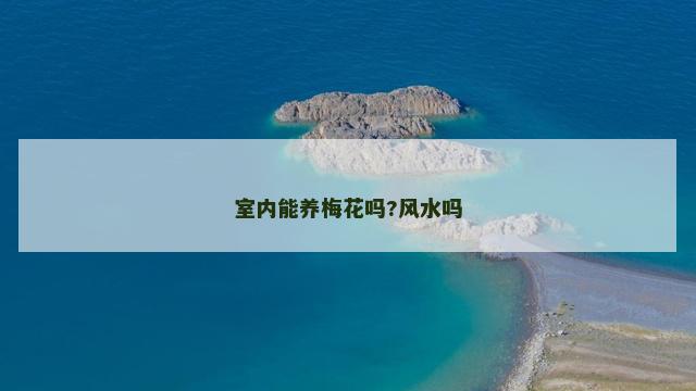 室内能养梅花吗?风水吗