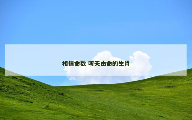 相信命数 听天由命的生肖