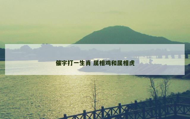 催字打一生肖 属相鸡和属相虎