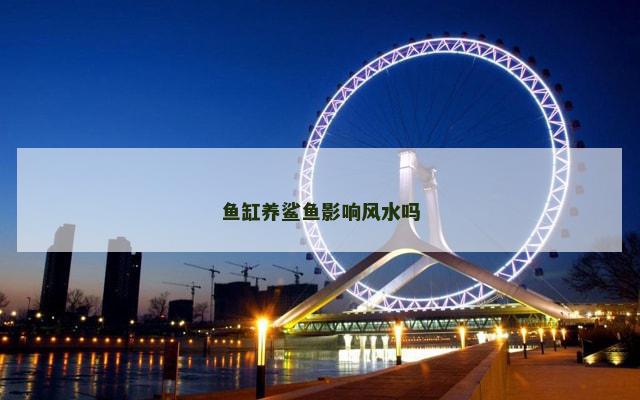 鱼缸养鲨鱼影响风水吗