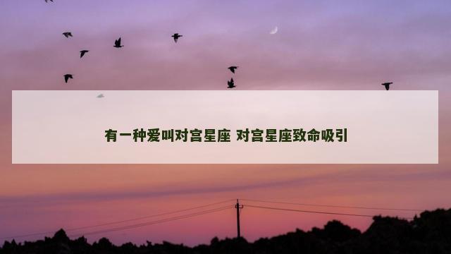有一种爱叫对宫星座 对宫星座致命吸引