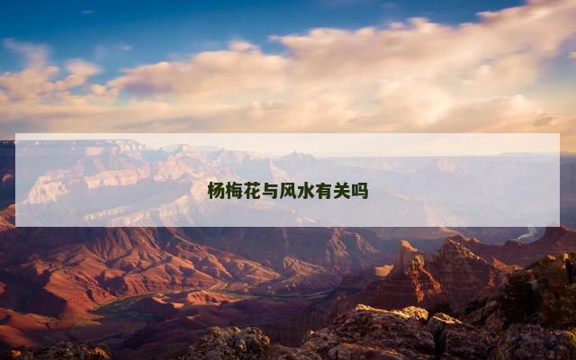杨梅花与风水有关吗