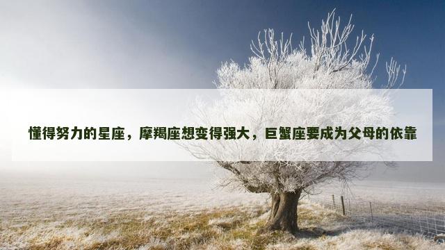 懂得努力的星座，摩羯座想变得强大，巨蟹座要成为父母的依靠