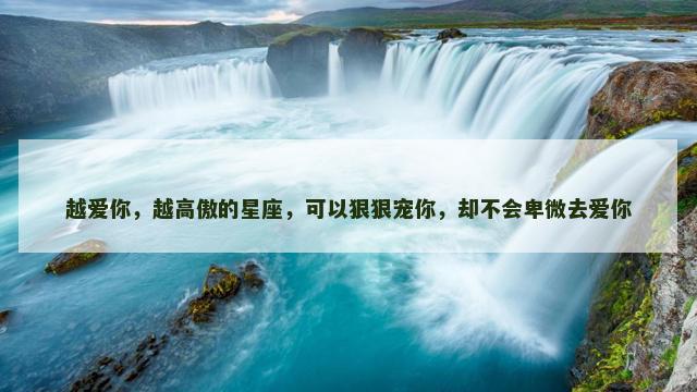 越爱你，越高傲的星座，可以狠狠宠你，却不会卑微去爱你