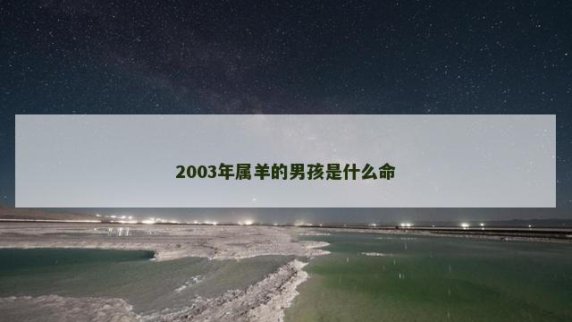 2003年属羊的男孩是什么命