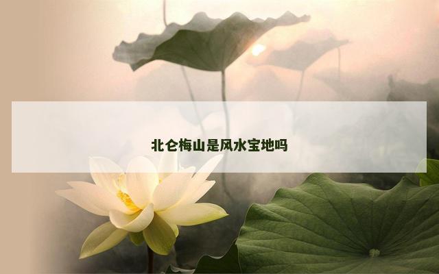 北仑梅山是风水宝地吗