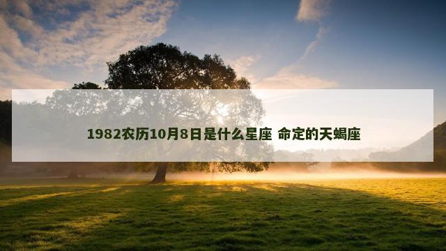 1982农历10月8日是什么星座 命定的天蝎座