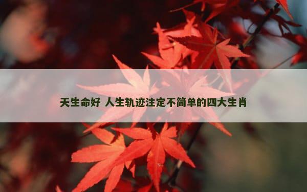 天生命好 人生轨迹注定不简单的四大生肖
