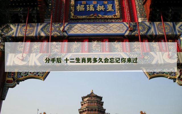 分手后 十二生肖男多久会忘记你来过