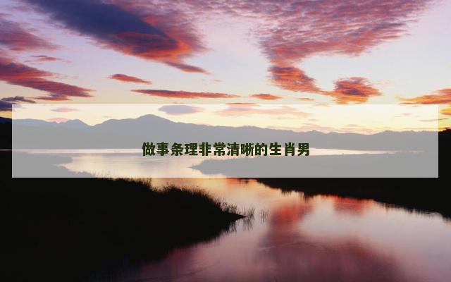 做事条理非常清晰的生肖男
