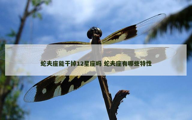 蛇夫座能干掉12星座吗 蛇夫座有哪些特性