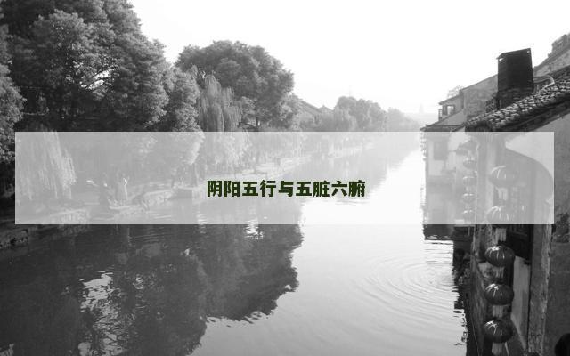 阴阳五行与五脏六腑