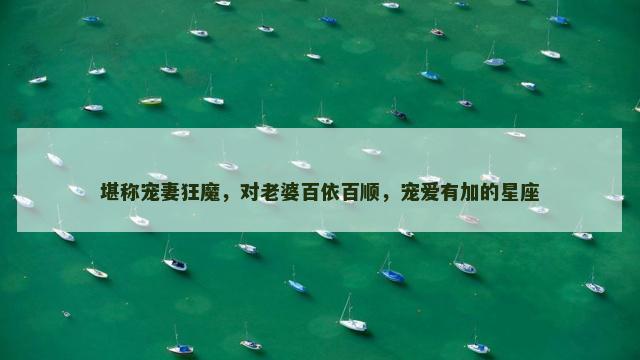 堪称宠妻狂魔，对老婆百依百顺，宠爱有加的星座