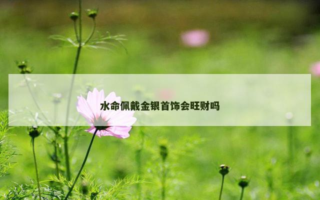 水命佩戴金银首饰会旺财吗