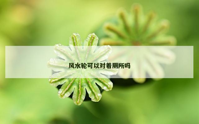风水轮可以对着厕所吗