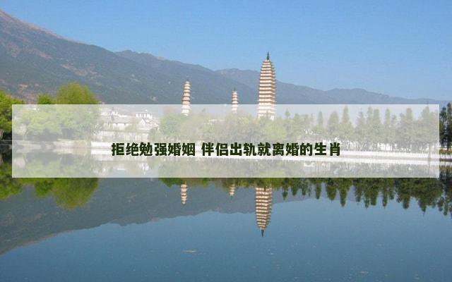 拒绝勉强婚姻 伴侣出轨就离婚的生肖