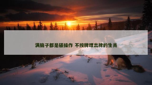 满脑子都是骚操作 不按牌理出牌的生肖