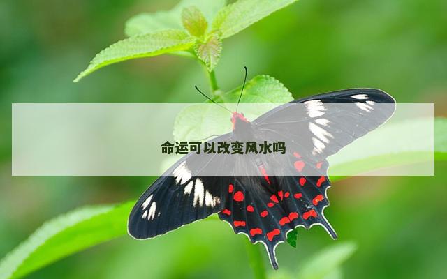 命运可以改变风水吗