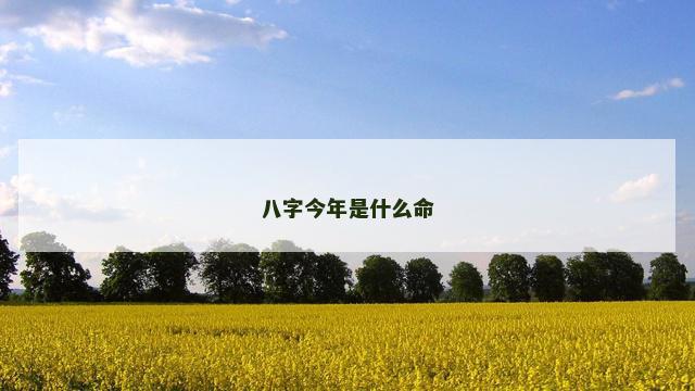 八字今年是什么命
