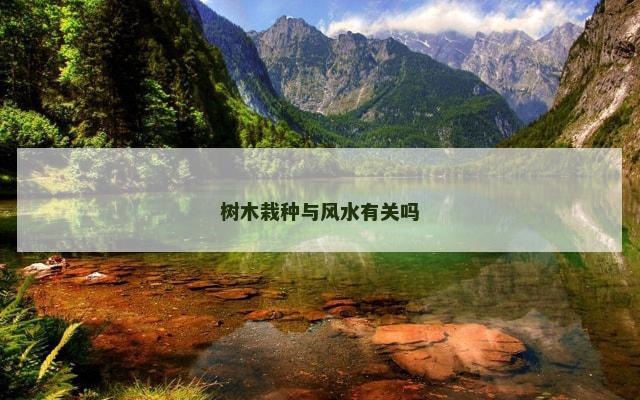 树木栽种与风水有关吗