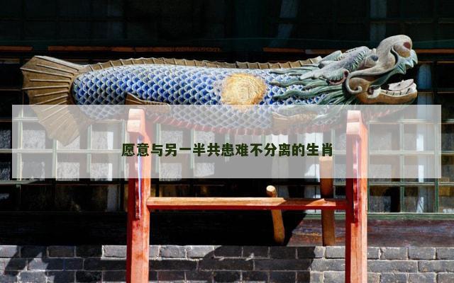 愿意与另一半共患难不分离的生肖